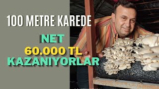 İSTİRİDYE MANTAR YETİŞTİRİCİLİĞİ [upl. by Aveneg]