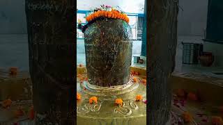 Har har Mahadev neeleshwar mandir shortvideo viralvideo [upl. by Eilak12]