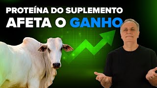 SUPLEMENTO PARA BOVINOS  Quanto de proteína deve ter [upl. by Urata]