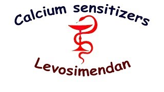 Сalcium sensitizers Levosimendan Mechanism of action side effects indications dosage [upl. by Vernor]