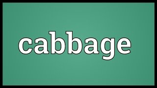 Cabbage Meaning [upl. by Rep886]