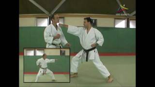 Bunkai Heian Nidan Lupo [upl. by Lorenzana]