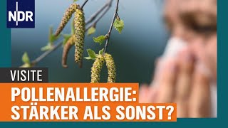 Pollenallergie Was hilft gegen Heuschnupfen  Visite  NDR [upl. by Harraf642]