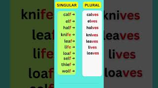 English grammar PLURAL fe or f shorts english ESL learnenglish education grammar quiz [upl. by Sinne]