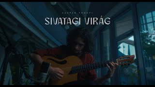 Sivatagi Virág [upl. by Dolhenty]