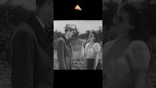 Highway Hell 1941 PizzaFLIX🍕TEASER2 [upl. by Eninnaj]