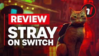 Stray Nintendo Switch Review  Is It Worth It [upl. by Hanid]