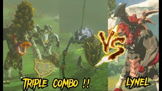 Lynel VS Duo moblin And Lizalfos The Legend of Zelda Tears of the Kingdom [upl. by Ecirtnom]