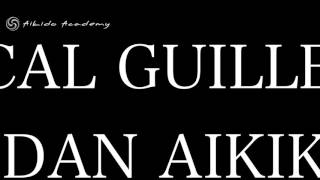 Aikido Academy Pascal Guillemin 6th Dan seminar 2015 [upl. by Seyler]