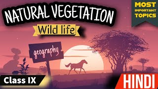 Natural vegetation and wildlife class 9  chapter 5 geography class 9  class 9 geography chapter 5 [upl. by Rezal8]