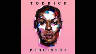 Todrick Hall  Type Official Audio [upl. by Einra]