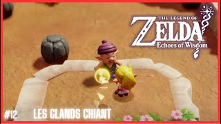 12ZELDA ECHOES OF WISDOM PATATE DE GRAND FRERE [upl. by Ylnevaeh]