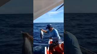 Catching skipjack tuna fishingtipsandtechniques fishing bestfishingtechniques fishingmethods [upl. by Ennalyrehc150]