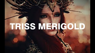 Triss Merigold  Kozakowys Character Showcase [upl. by Guild]