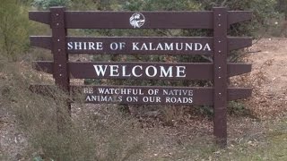 Yowie  Bigfoot Sighting Audio Report 66 at Kalamunda  Western Australia [upl. by Etteuqal13]