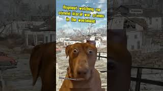 Dogmeat watching me commit literal war crimes in the wasteland memes fallout funny [upl. by Sonahpets]