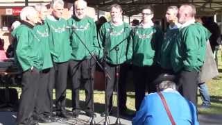 Swiss Yodel Choir Matterhorn  Altes Kueherlied Old Herdsmen’s Song [upl. by Hagile]