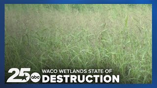 Lake Waco Wetlands in state of destruction as the area celebrates its 20th anniversary [upl. by Azarria]