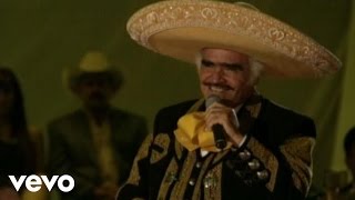 Vicente Fernández  Por un Amor En Vivo [upl. by Tadeas843]