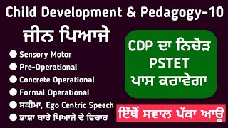 Jean piaget theory in Punjabi Class 10  pstet child development and psychology  Study Fighters [upl. by Nosrac747]