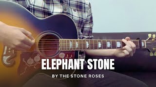 The Stone Roses  Elephant Stone cover [upl. by Anelrats]