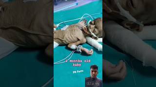 A twomonthold baby has a serious illness🥺 shorts trending youtubeshorts shortvideo cute [upl. by Georges]