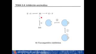 Inhibición Enzimática [upl. by Ranee]