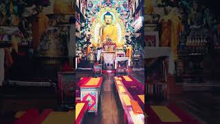 Tawang Gumpa monastery in India Tawang india livereels [upl. by Agnot643]