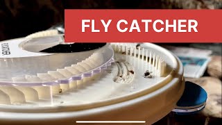 Electronic Housefly Trap  Electric Fly Catcher [upl. by Yerfoeg993]