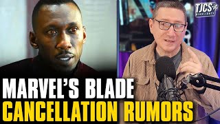 Marvel Has Cancelled Blade Rumors As Disney Pulls It From Schedule [upl. by Odnalra914]