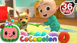 Bingo  More Nursery Rhymes amp Kids Songs  CoComelon [upl. by Hallie]