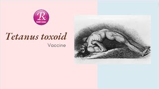 Tetanus Vaccine also known as Tetanus Toxoid TT Mostly useful information about this Vaccine [upl. by Euqinor]