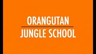 «Orangutan Jungle School» im Schweizer OnlineStreaming [upl. by Callan]