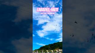 🛳️ AMAZING PORTS of CALL Labadee 🇭🇹 travel shorts cruise haiti ports [upl. by Bernadina]