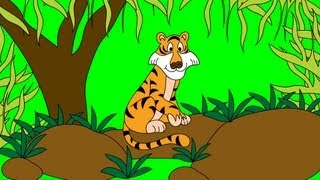 Meet the Tiger  Animals at the Zoo  Animal Sounds  Learn the Sounds Zoo Animals Make [upl. by Aracaj228]