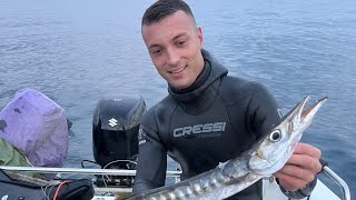 UNA BREVE PESCATA AL TRAMONTO Un barracuda lontano fishing spearfishing sub fish lifestyle [upl. by Norat]