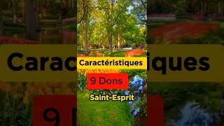 Comment interprèter les 9 dons du Saint Esprit voici les caractéristiques des dons de Lesprit [upl. by Tade]