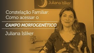 Constelação Familiar  Como acessar o campo morfogenético  Juliana Isliker [upl. by Artenak]