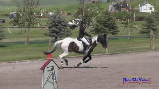 370S Sydney Graham on Just A Little Renegade JR Training Show Jumping Rebecca Farm July 2018 [upl. by Yrac245]