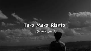 Tera Mera Rishta Slowed  Reverb  Mustafa Zahid  Taibi Khaan  Lofi song [upl. by Meikah]