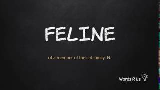 How to Pronounce FELINE in American English [upl. by Nauht785]