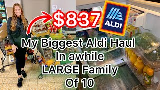 My BIGGEST ALDI Haul in a LONG Time  LARGE FAMILY Grocery Haul [upl. by Belcher275]