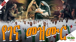 የልደተ ክርስቶስ የገና የተመረጡ መዝሙሮች  New Ethiopian Orthodox Yegena Mezmur [upl. by Nodlehs]