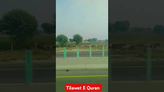 Tilawet E Quran explore تلاوةجميلة soothingquran alquran heartwarmingrecitation youtube love [upl. by Edge77]