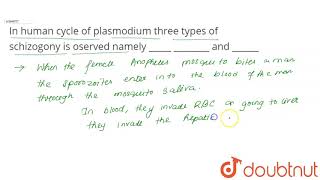 In human cycle of plasmodium three types of schizogony is oserved namely   and [upl. by Donella]