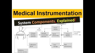 What are the Components of a Generalized Medical Instrumentation System  BME320 [upl. by Cottle]