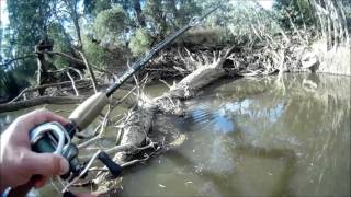 Exciting Murray cod fishing with heaps of fishing tips [upl. by Derfliw40]