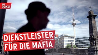 Das StrohmannKartell  Dienstleister für die Mafia  Reportage [upl. by Gabby954]