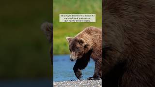 Sights from Katmai national park in Alaska alaska nationalpark [upl. by Teressa]