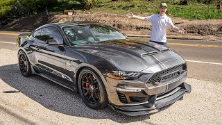 AllNew 825HP Shelby Super Snake First Drive amp POV BETTER Than Fords GT500 [upl. by Secilu]